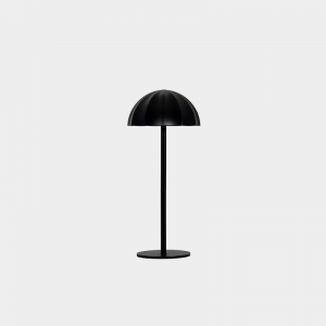 Enton LED Portable Table Light #ETI0249 gallery view 1 for wholesale LED lighting projects